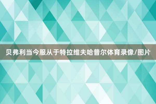 贝弗利当今服从于特拉维夫哈普尔体育录像/图片