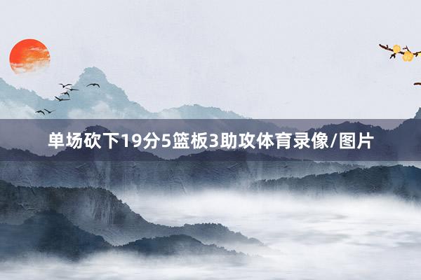 单场砍下19分5篮板3助攻体育录像/图片