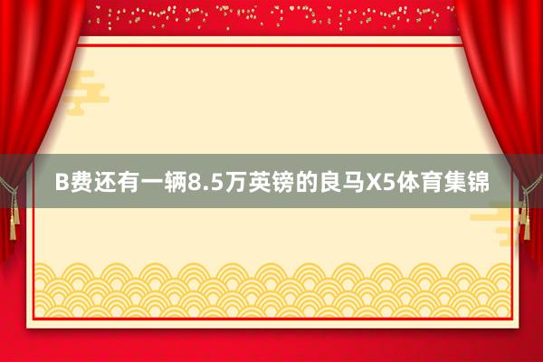 B费还有一辆8.5万英镑的良马X5体育集锦