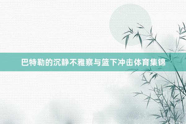 巴特勒的沉静不雅察与篮下冲击体育集锦