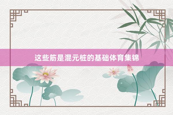 这些筋是混元桩的基础体育集锦
