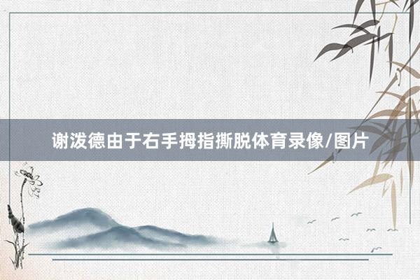 谢泼德由于右手拇指撕脱体育录像/图片