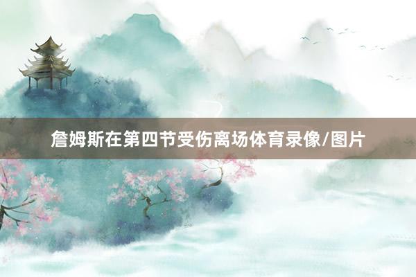 詹姆斯在第四节受伤离场体育录像/图片