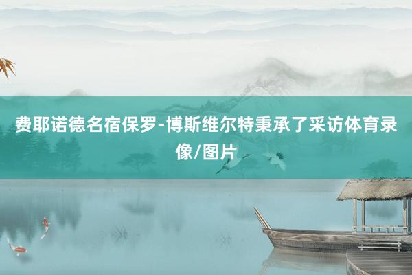 费耶诺德名宿保罗-博斯维尔特秉承了采访体育录像/图片